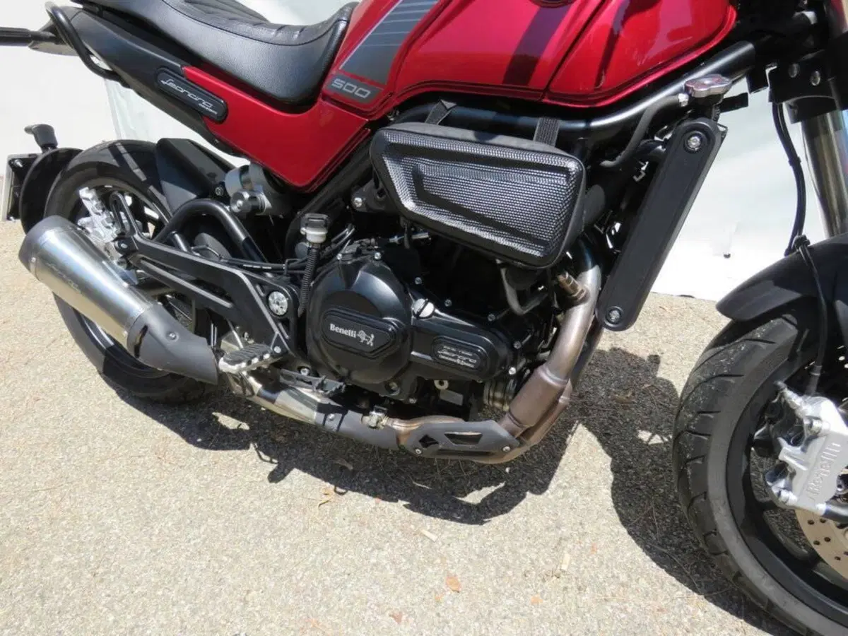 Benelli Leoncino 500 (2021 - 25) (8)
