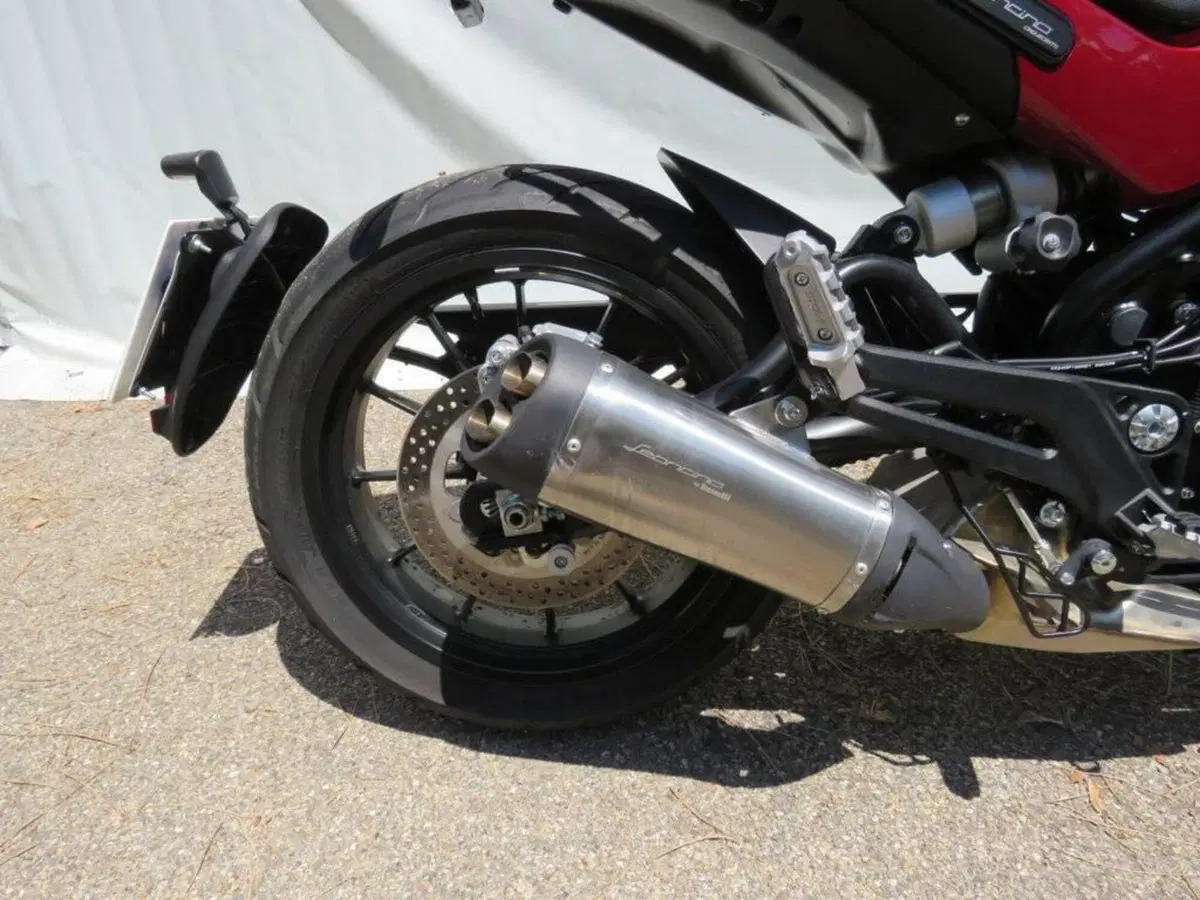 Benelli Leoncino 500 (2021 - 25) (9)