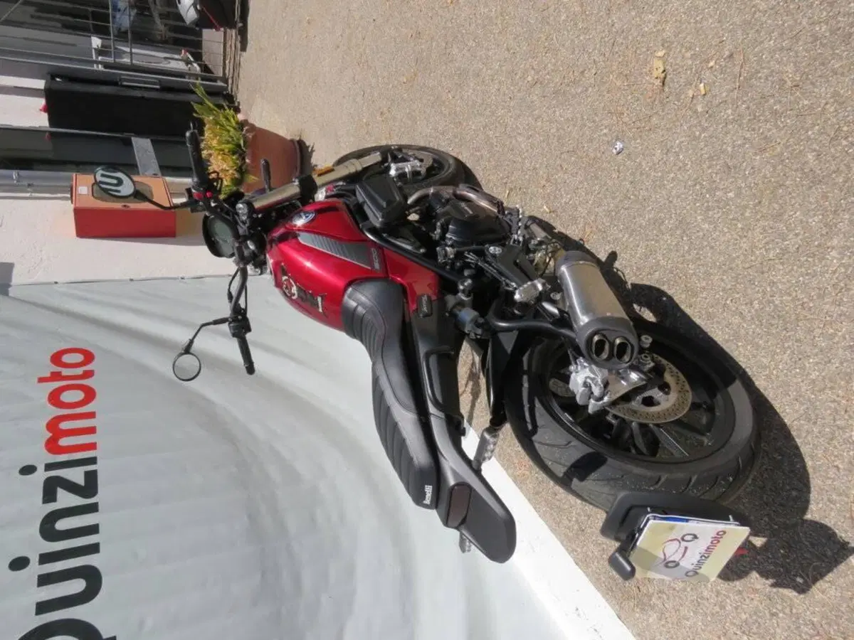 Benelli Leoncino 500 (2021 - 25) (10)