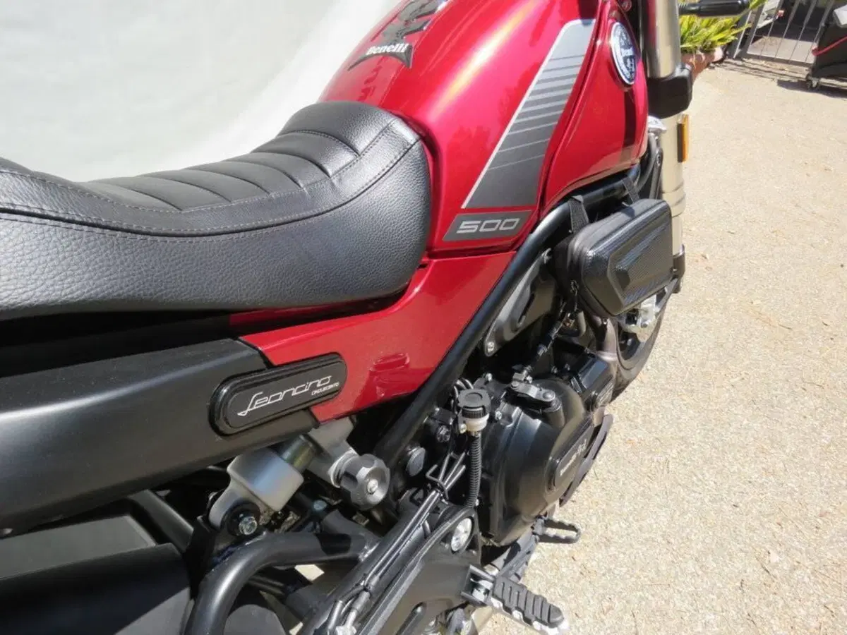 Benelli Leoncino 500 (2021 - 25) (13)