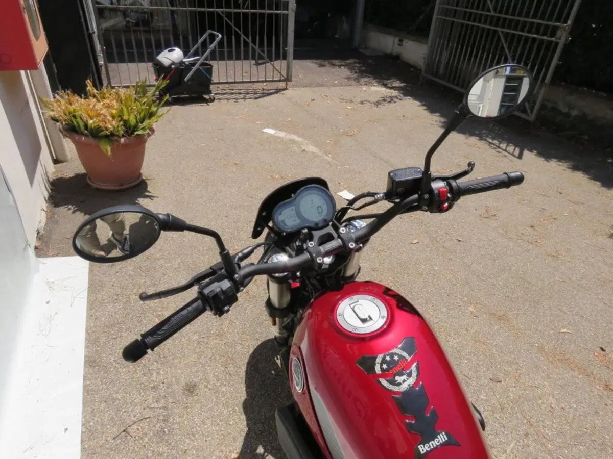 Benelli Leoncino 500 (2021 - 25) (14)