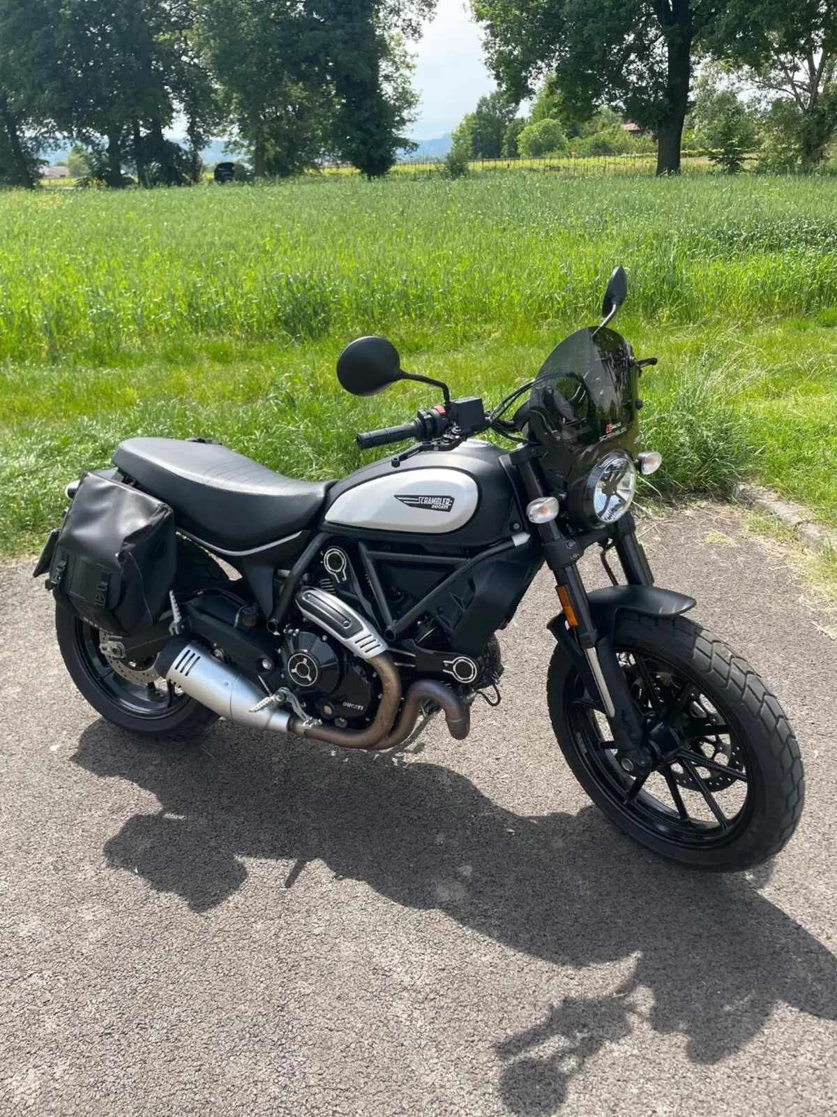 Ducati Scrambler 800 Icon Dark (2021 - 22) (6)