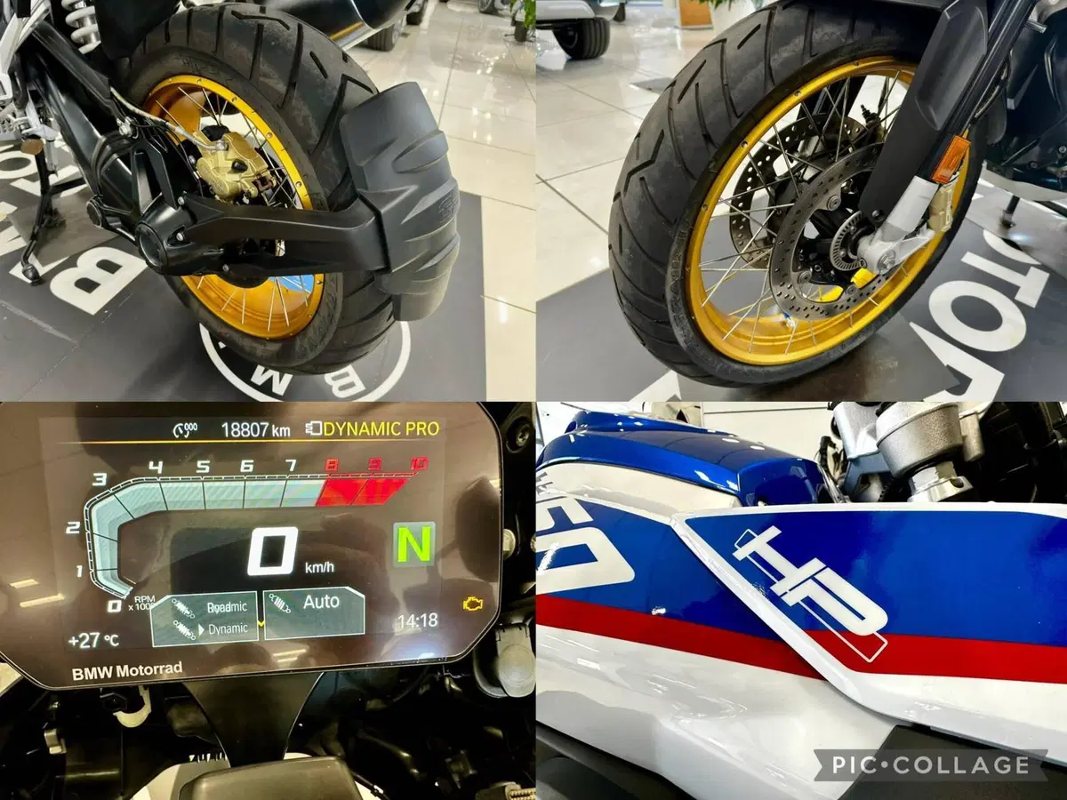 Bmw R 1250 GS (2019 - 20) (15)