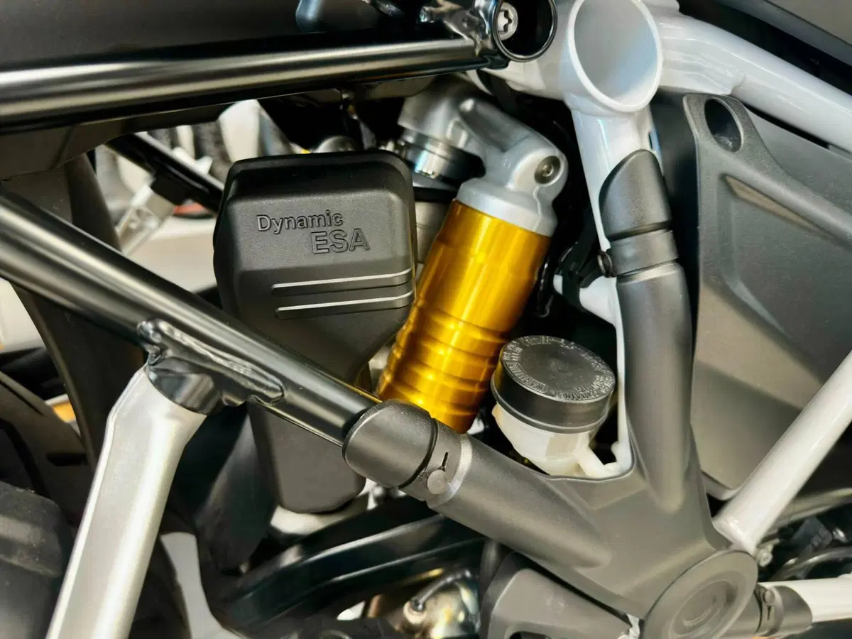 Bmw R 1250 GS (2019 - 20) (13)