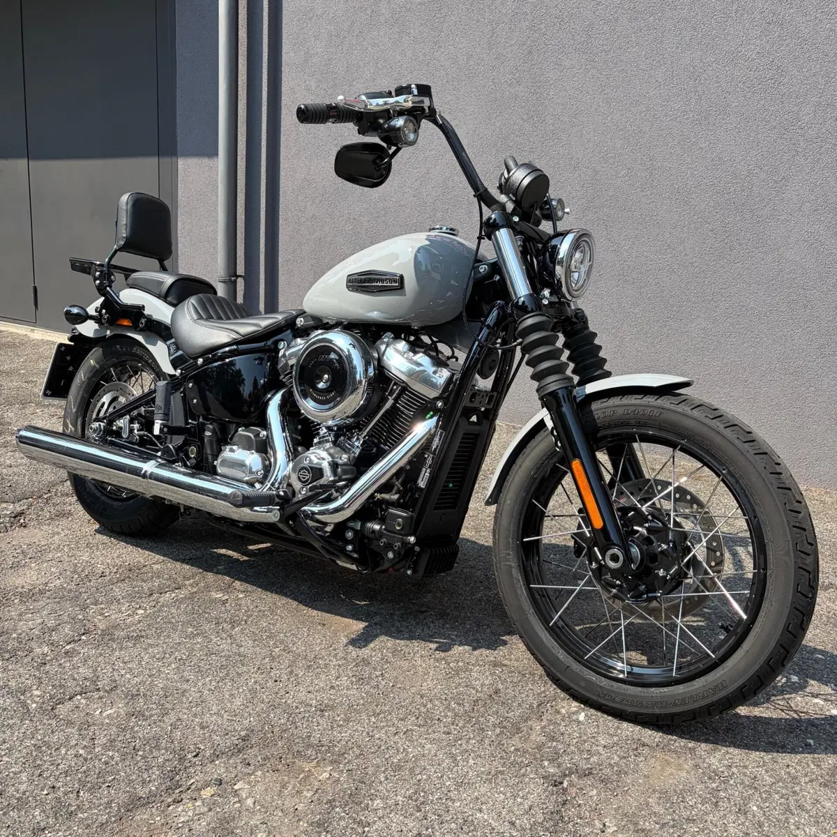 Harley-Davidson Street Bob 117 (2025 - 26) (2)