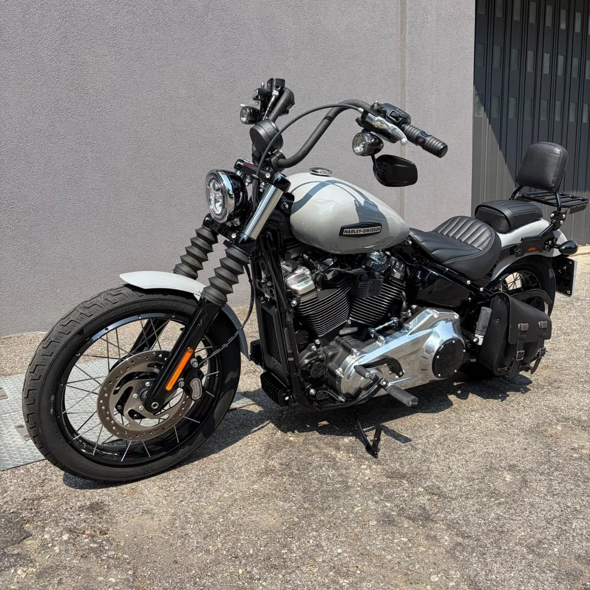 Harley-Davidson Street Bob 117 (2025 - 26) (5)