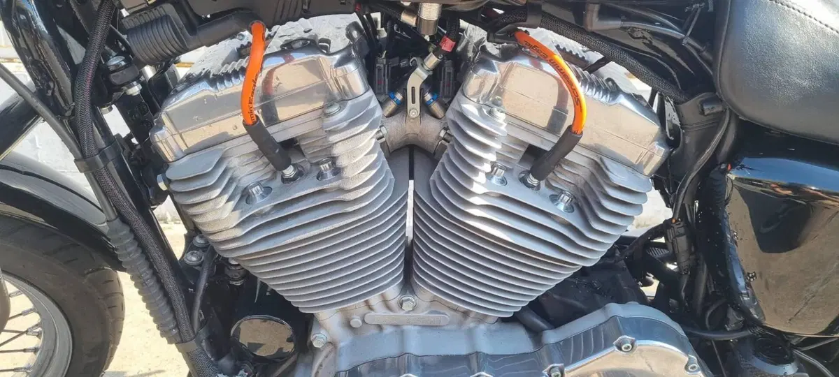 Harley-Davidson 883 (2008 - 09) - XL (2)