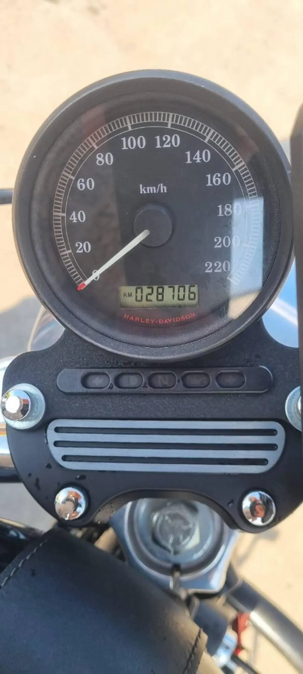 Harley-Davidson 883 (2008 - 09) - XL (3)