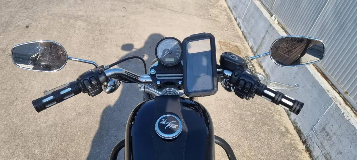 Harley-Davidson 883 (2008 - 09) - XL (5)