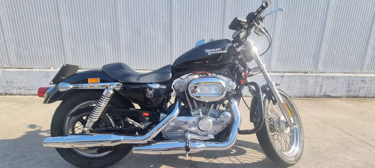 Harley-Davidson 883 (2008 - 09) - XL (6)