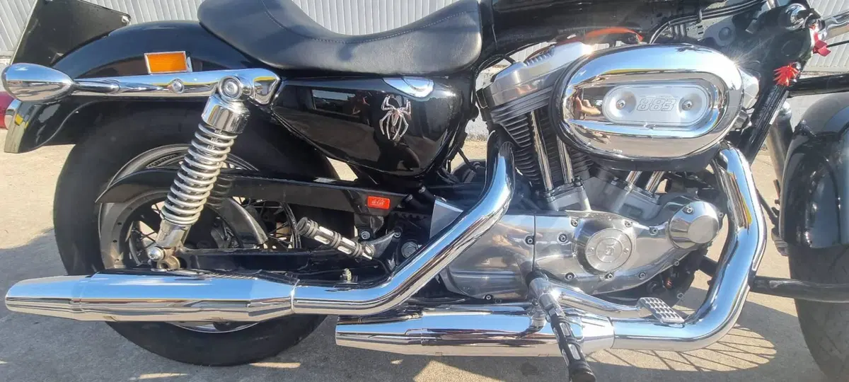 Harley-Davidson 883 (2008 - 09) - XL (9)