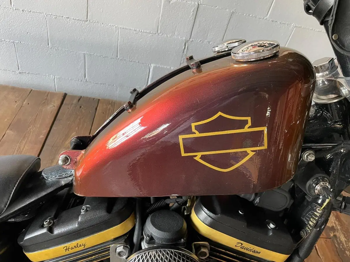 Harley-Davidson 1200 Custom (1995 - 00) - XL 1200C (13)