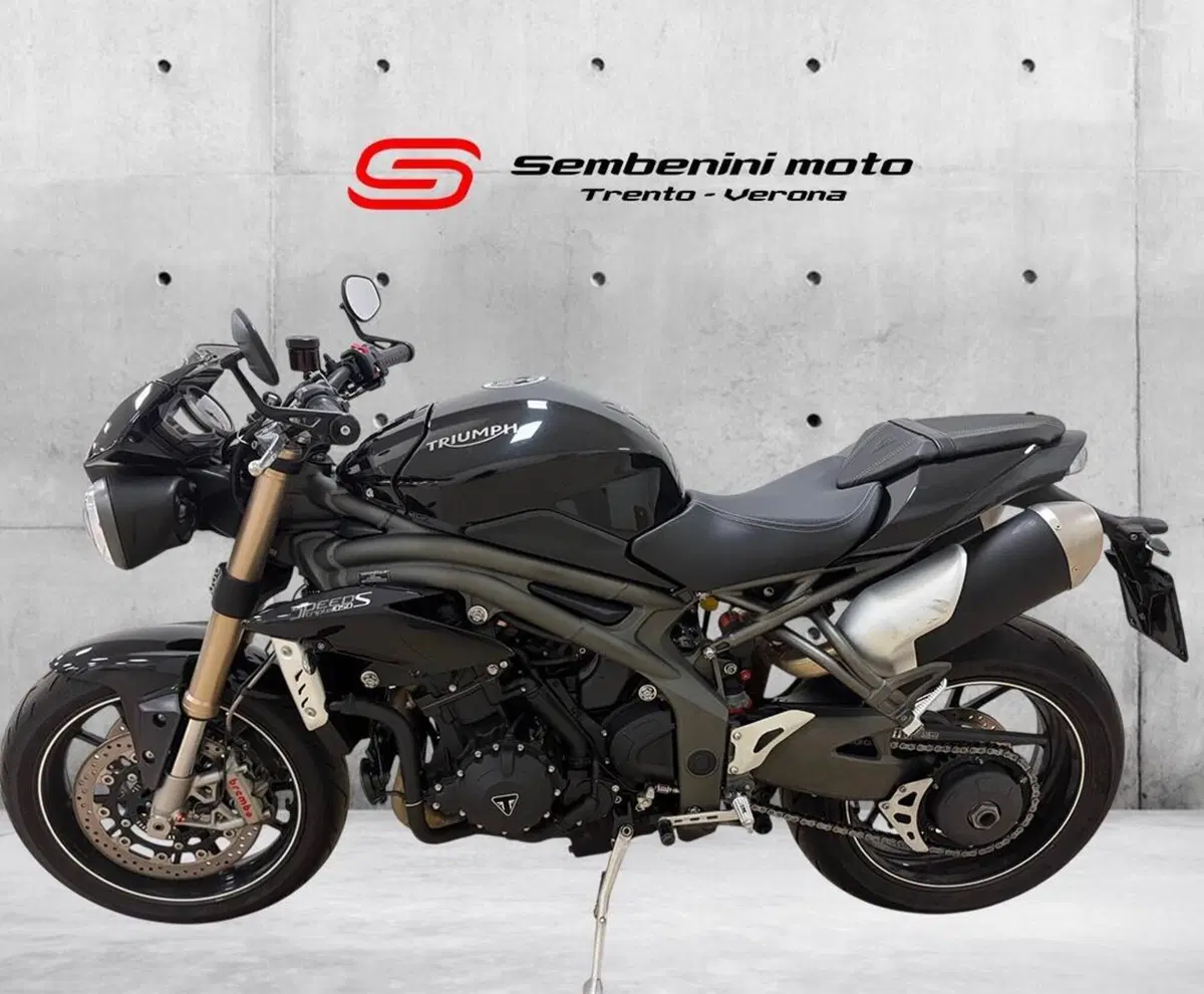 Triumph Speed Triple 1050 S ABS (2016 - 17) (2)