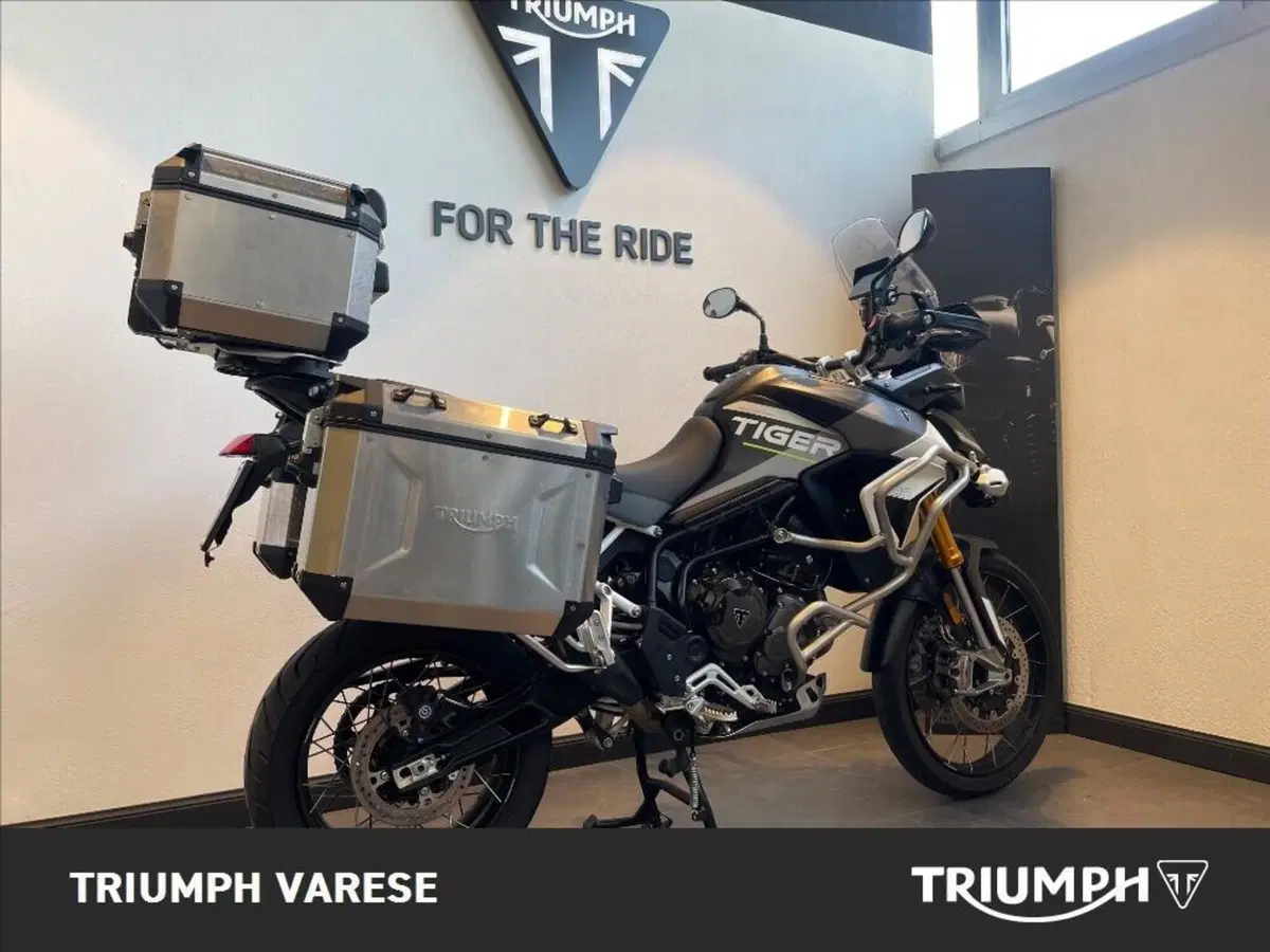 Triumph Tiger 900 Rally Aragón Edition (2023 - 24) (6)