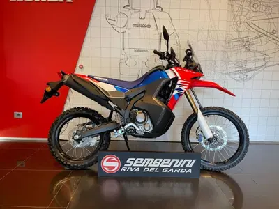 Honda CRF 300 Rally (2025 - 26) nuova