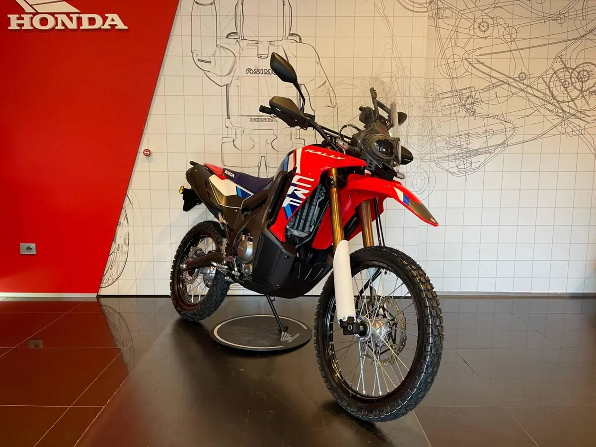 Honda CRF 300 Rally (2025 - 26) (3)