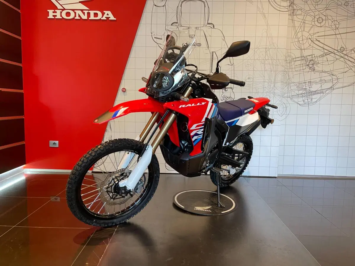Honda CRF 300 Rally (2025 - 26) (5)