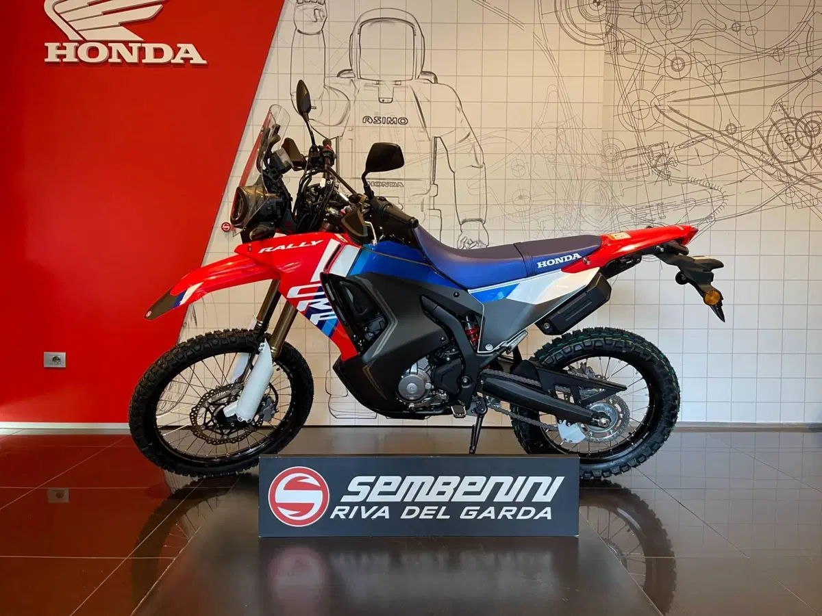 Honda CRF 300 Rally (2025 - 26) (6)