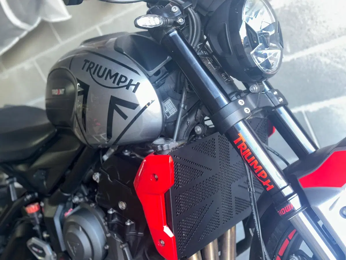 Triumph Trident 660 (2021 - 24) (2)