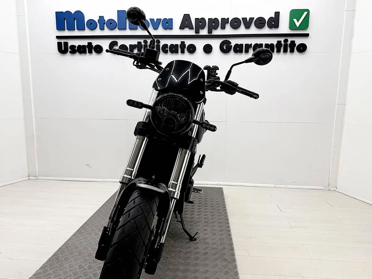 Benelli Leoncino 500 Trail (2021 - 26) (4)