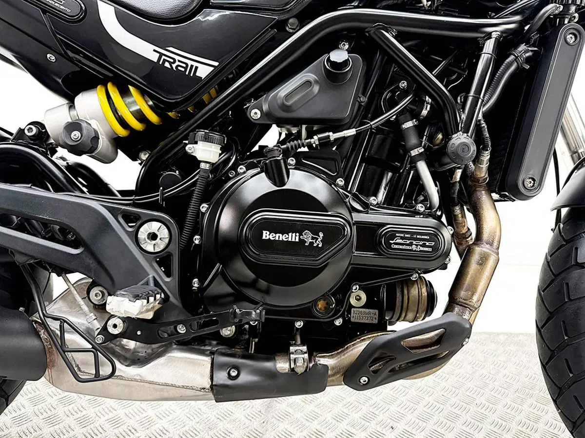 Benelli Leoncino 500 Trail (2021 - 26) (8)