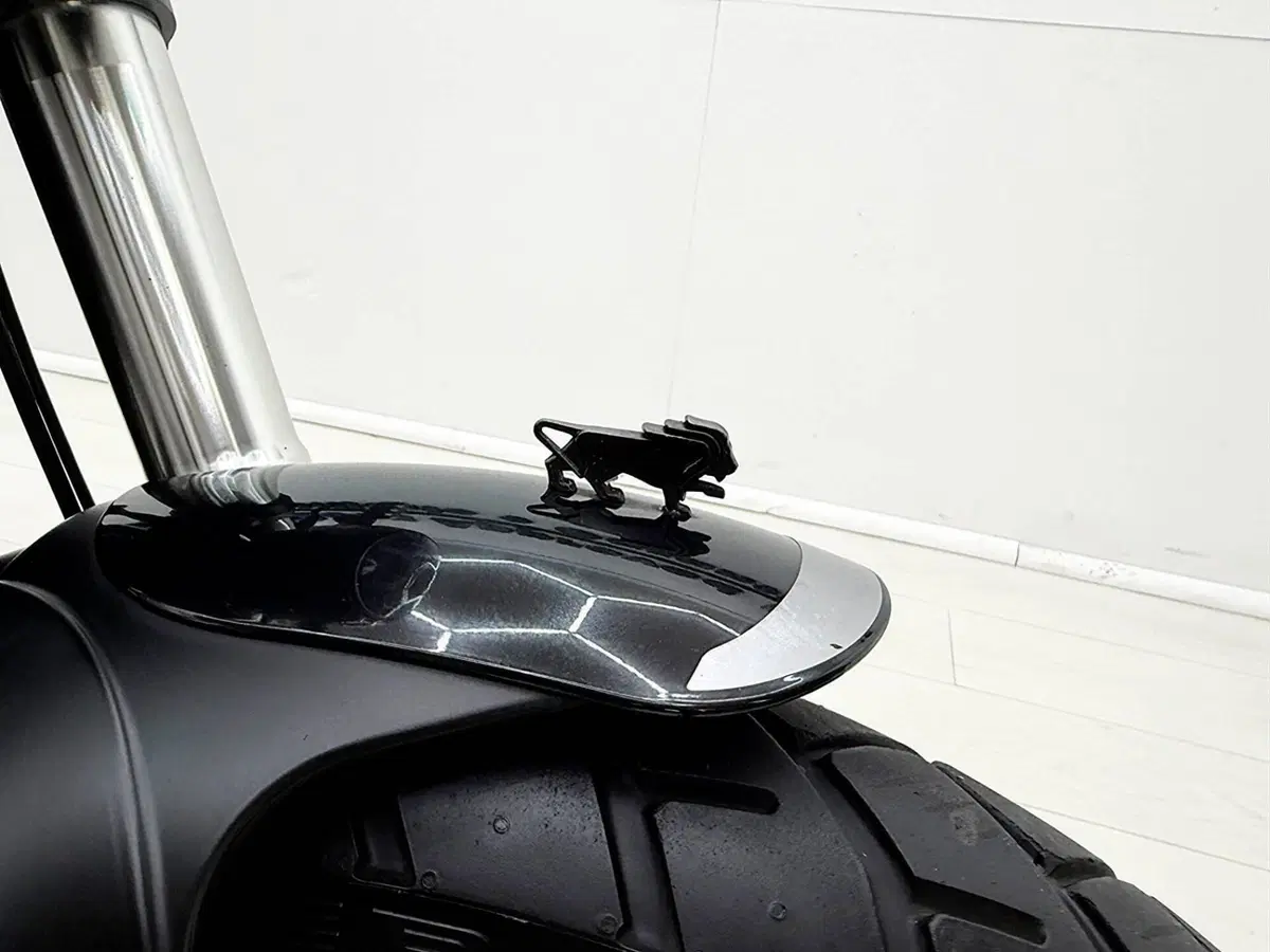 Benelli Leoncino 500 Trail (2021 - 26) (11)