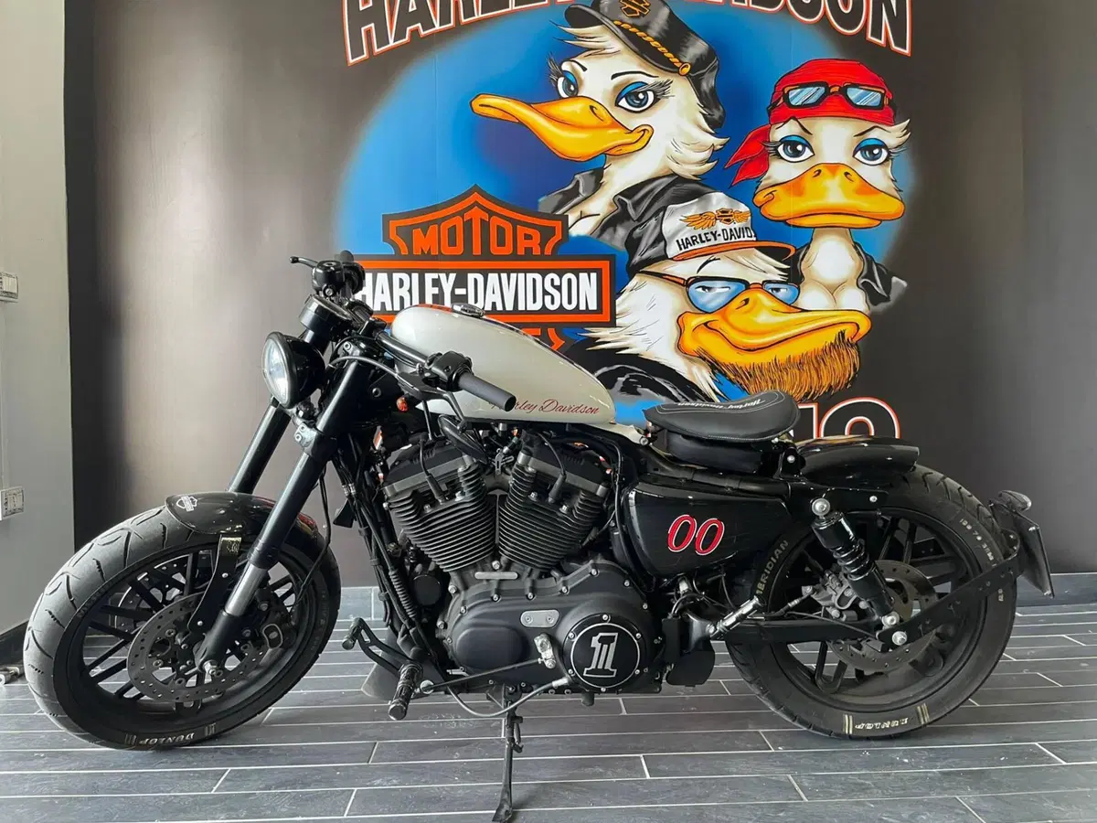Harley-Davidson 1200 Roadster (2017 - 20) - XL 1200R (2)