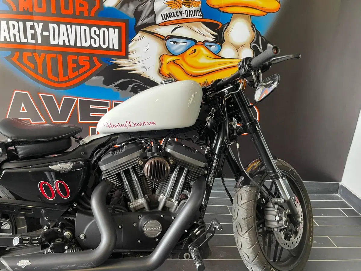 Harley-Davidson 1200 Roadster (2017 - 20) - XL 1200R (3)
