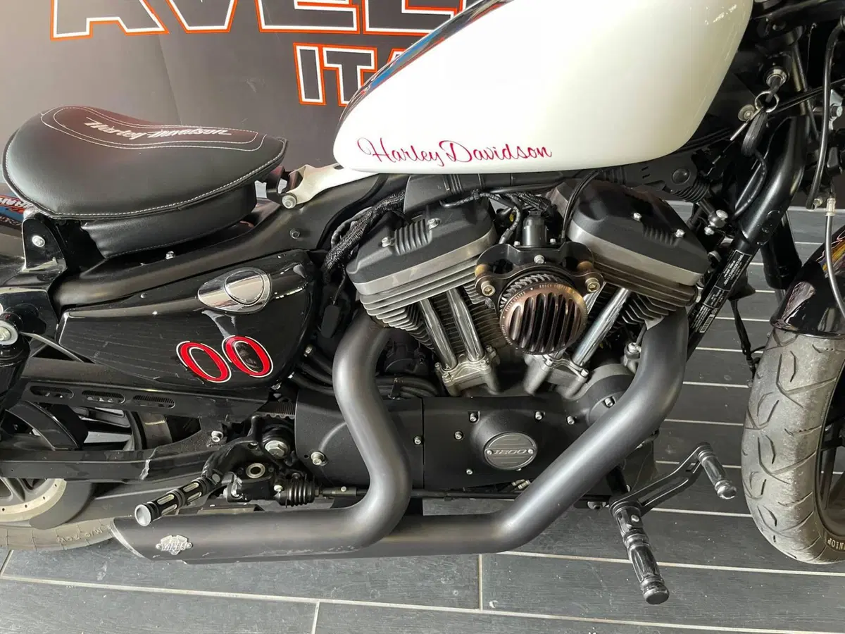 Harley-Davidson 1200 Roadster (2017 - 20) - XL 1200R (5)