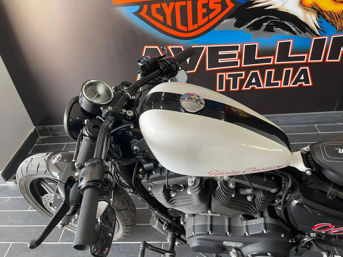 Harley-Davidson 1200 Roadster (2017 - 20) - XL 1200R (7)