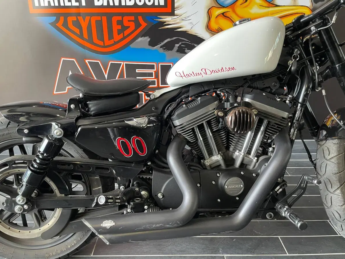 Harley-Davidson 1200 Roadster (2017 - 20) - XL 1200R (8)