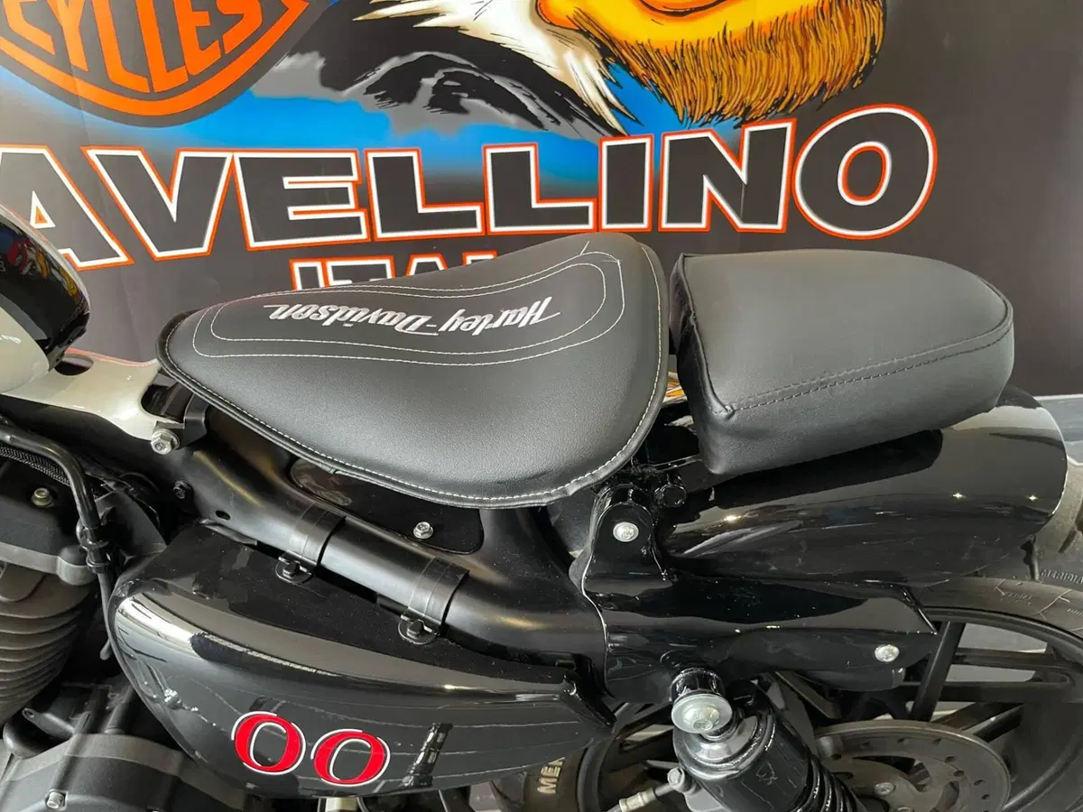 Harley-Davidson 1200 Roadster (2017 - 20) - XL 1200R (10)