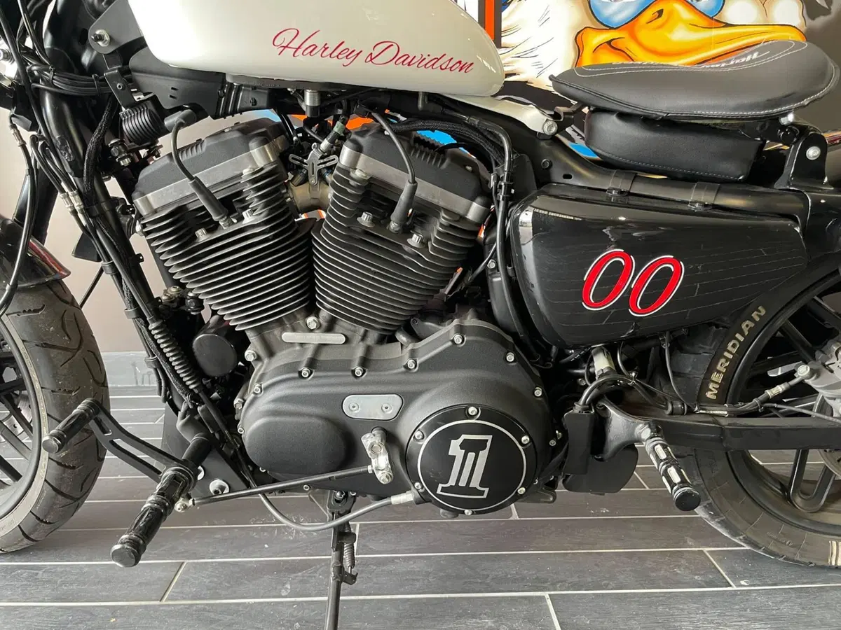 Harley-Davidson 1200 Roadster (2017 - 20) - XL 1200R (11)