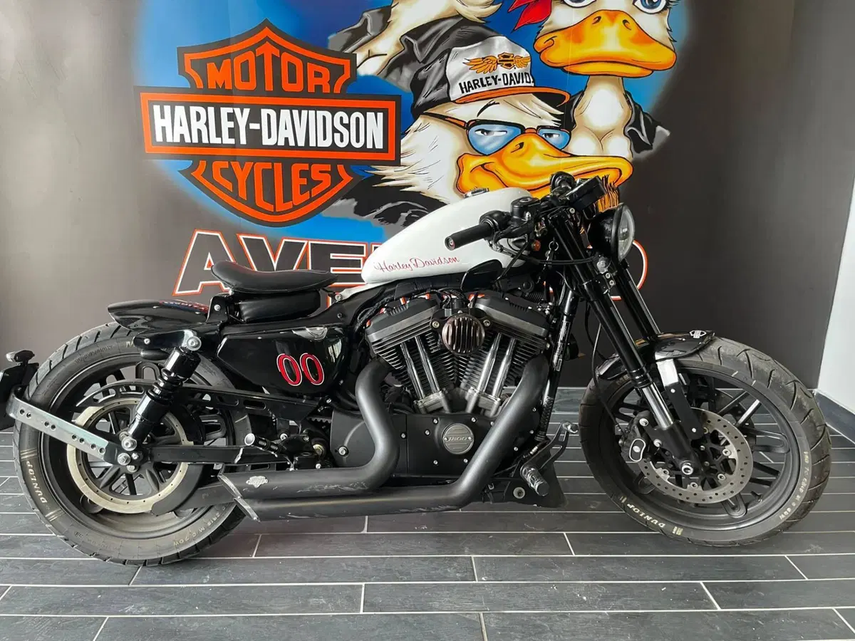 Harley-Davidson 1200 Roadster (2017 - 20) - XL 1200R (13)