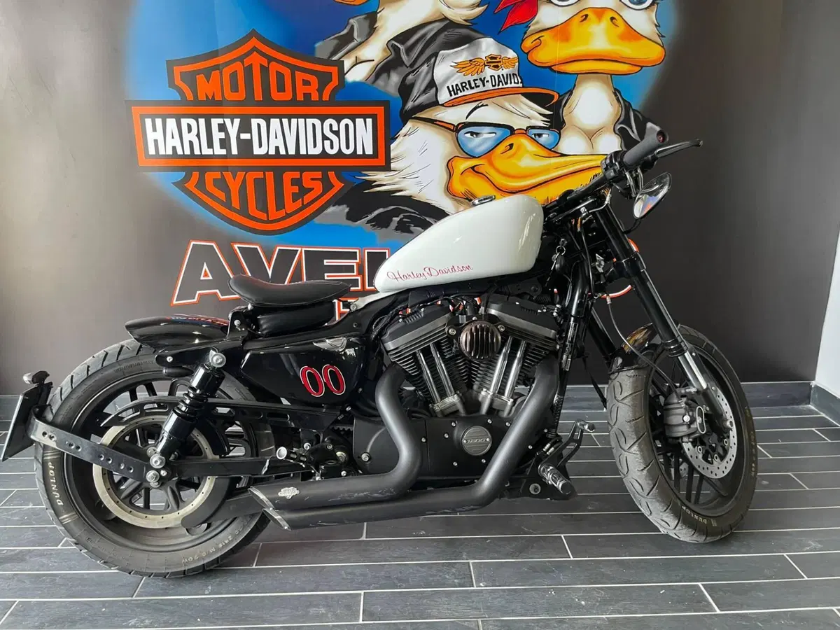 Harley-Davidson 1200 Roadster (2017 - 20) - XL 1200R (17)