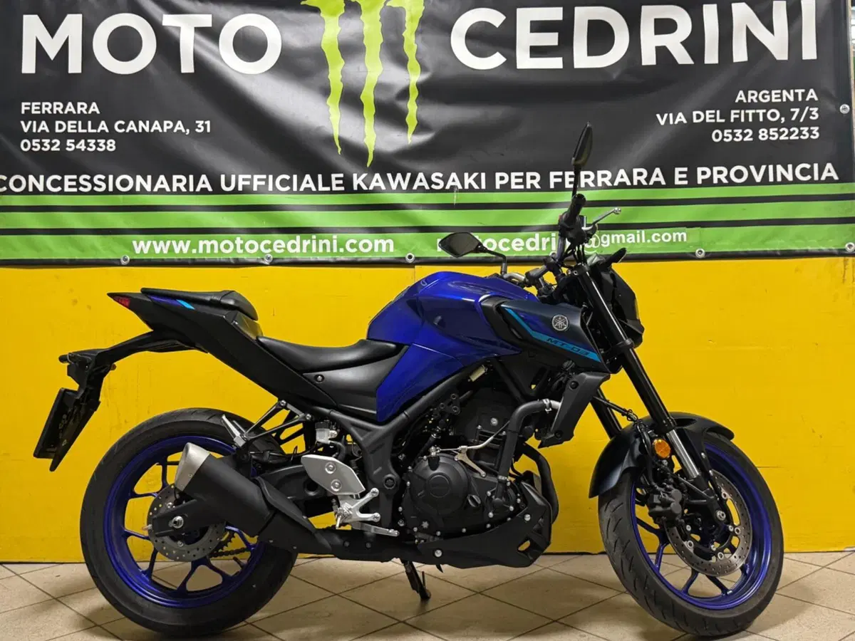 Yamaha MT-03 (2022 - 24) (3)