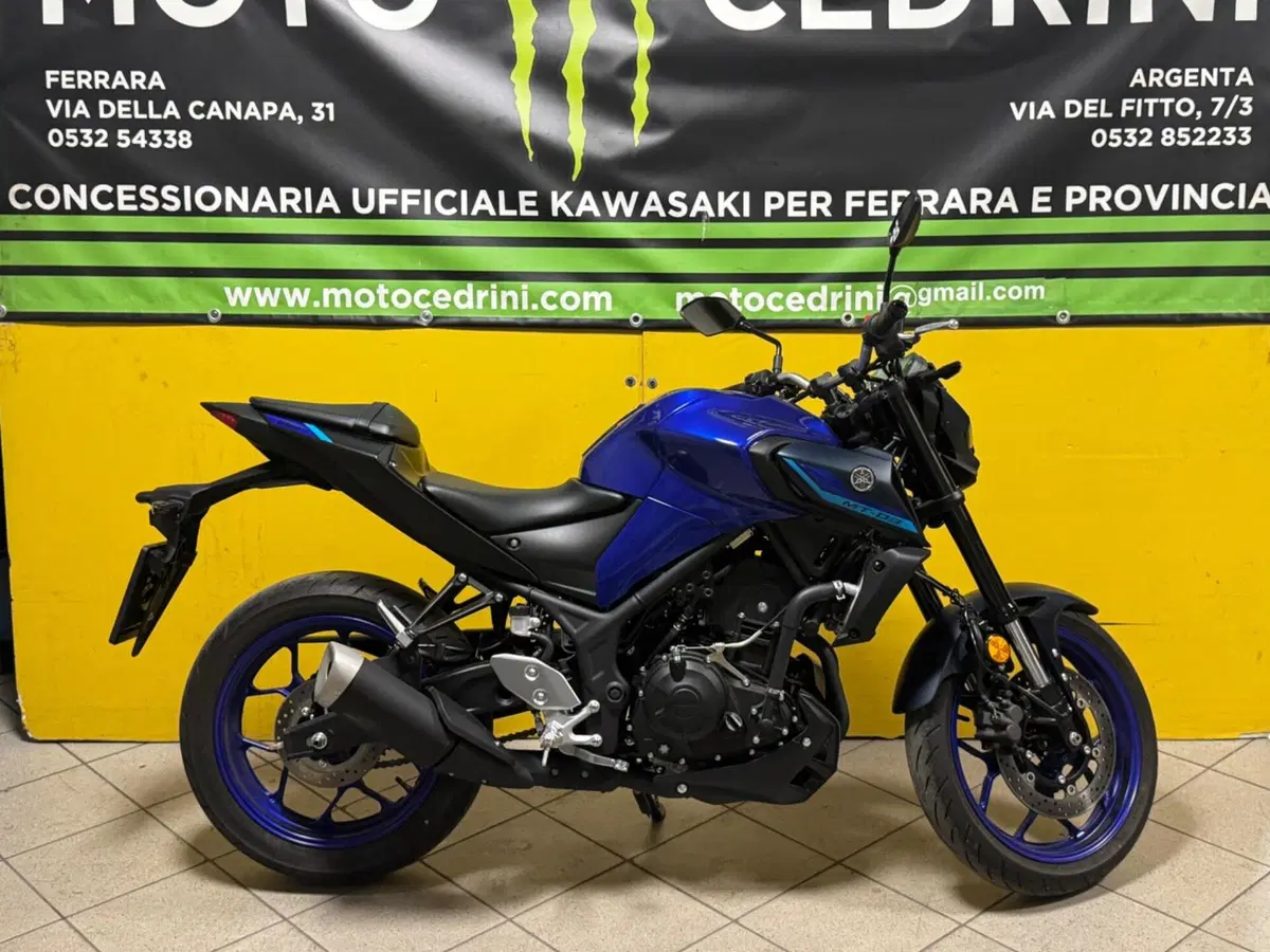 Yamaha MT-03 (2022 - 24) (5)