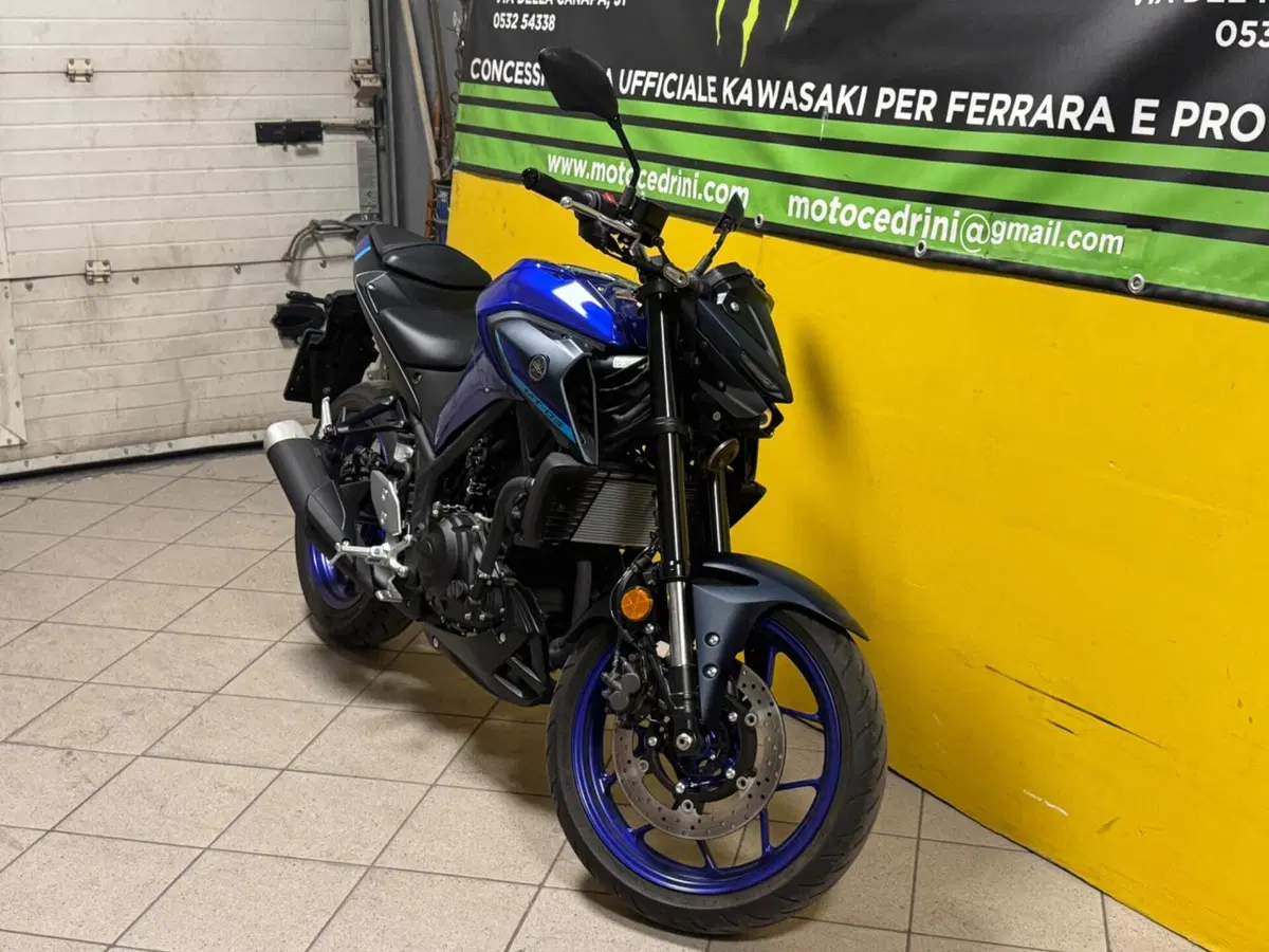 Yamaha MT-03 (2022 - 24) (6)