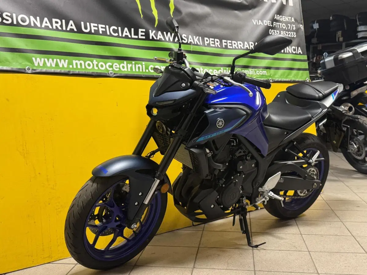 Yamaha MT-03 (2022 - 24) (7)