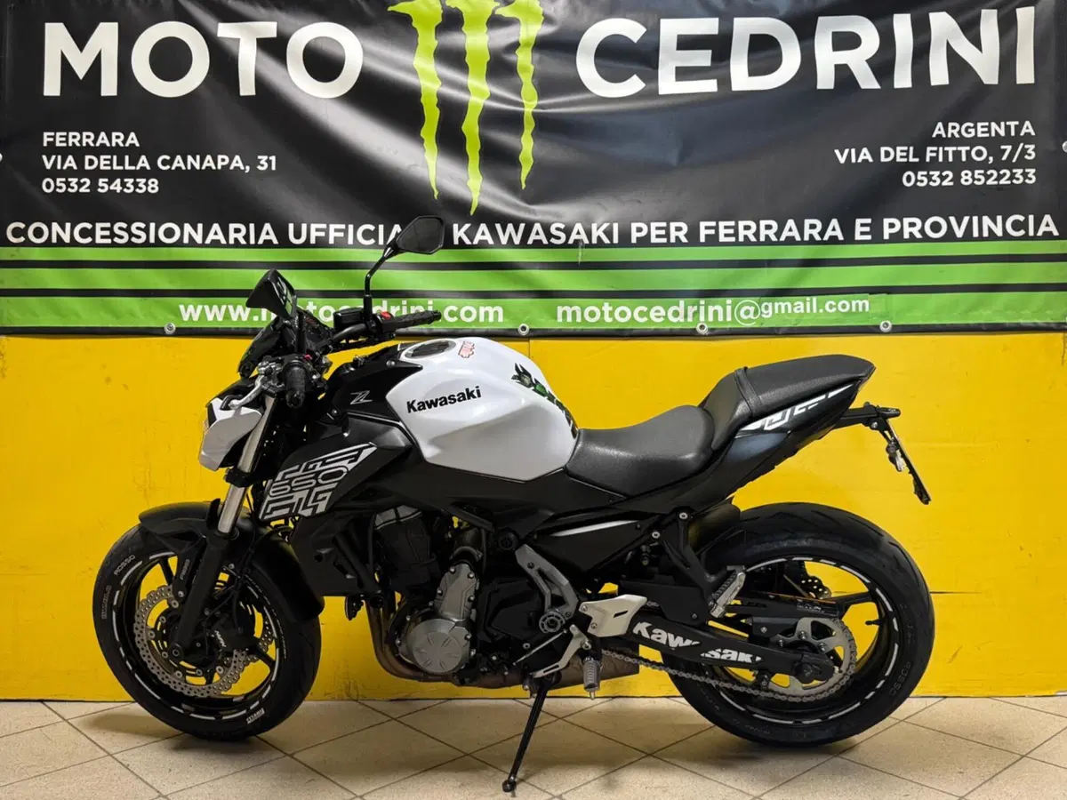 Kawasaki Z 650 (2017 - 19)