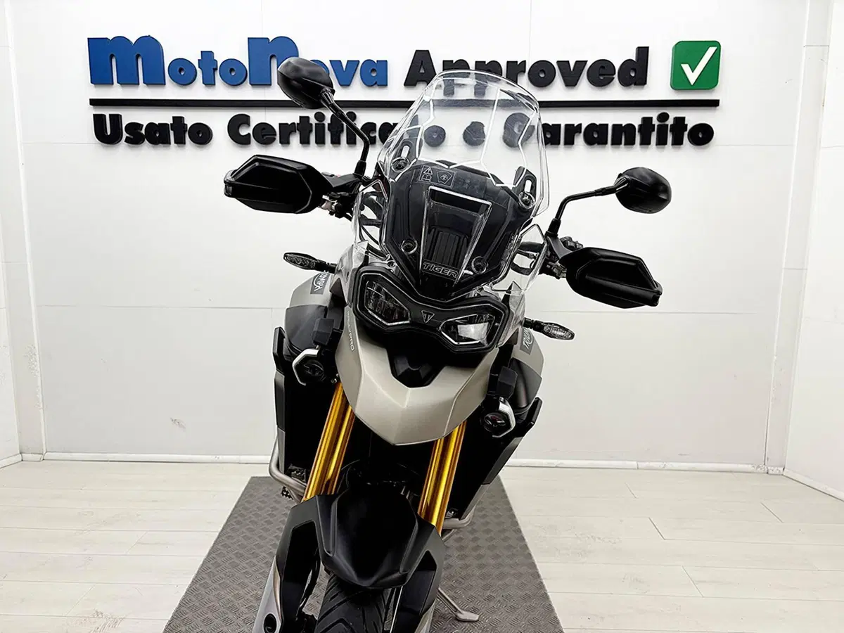 Triumph Tiger 900 Rally Pro (2020 - 23) (4)