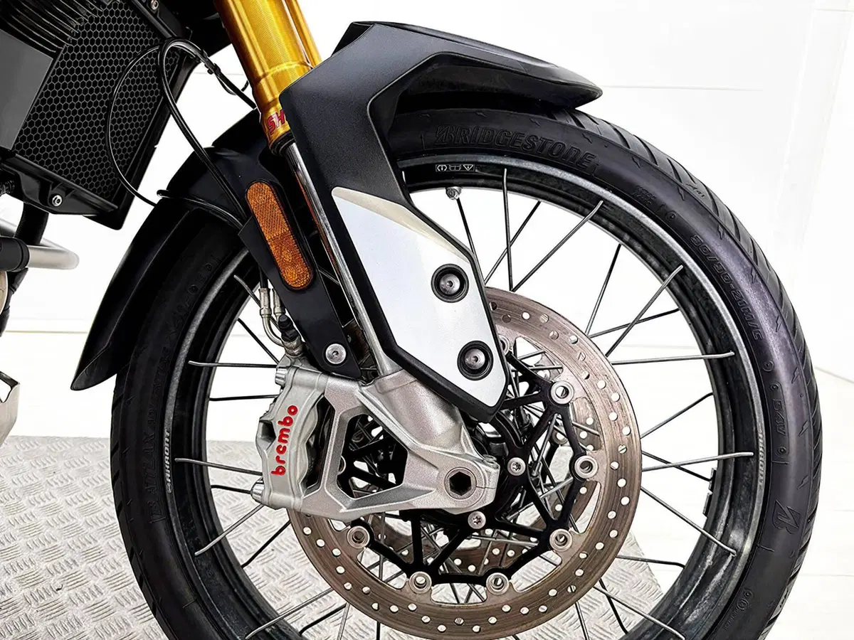 Triumph Tiger 900 Rally Pro (2020 - 23) (13)