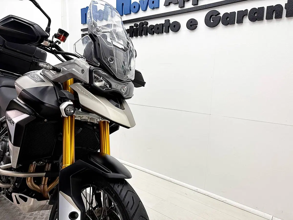 Triumph Tiger 900 Rally Pro (2020 - 23) (11)