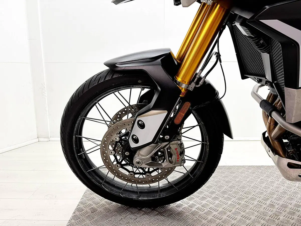 Triumph Tiger 900 Rally Pro (2020 - 23) (14)