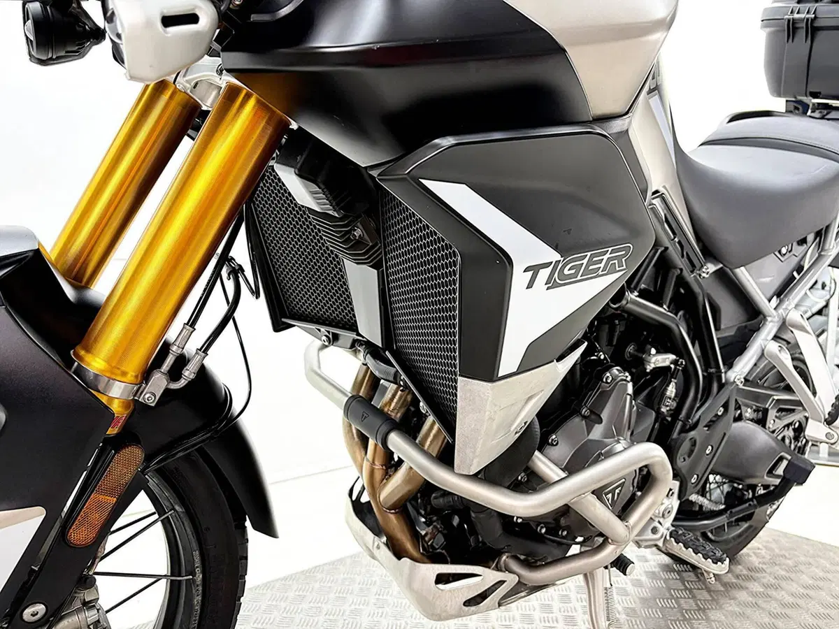 Triumph Tiger 900 Rally Pro (2020 - 23) (15)