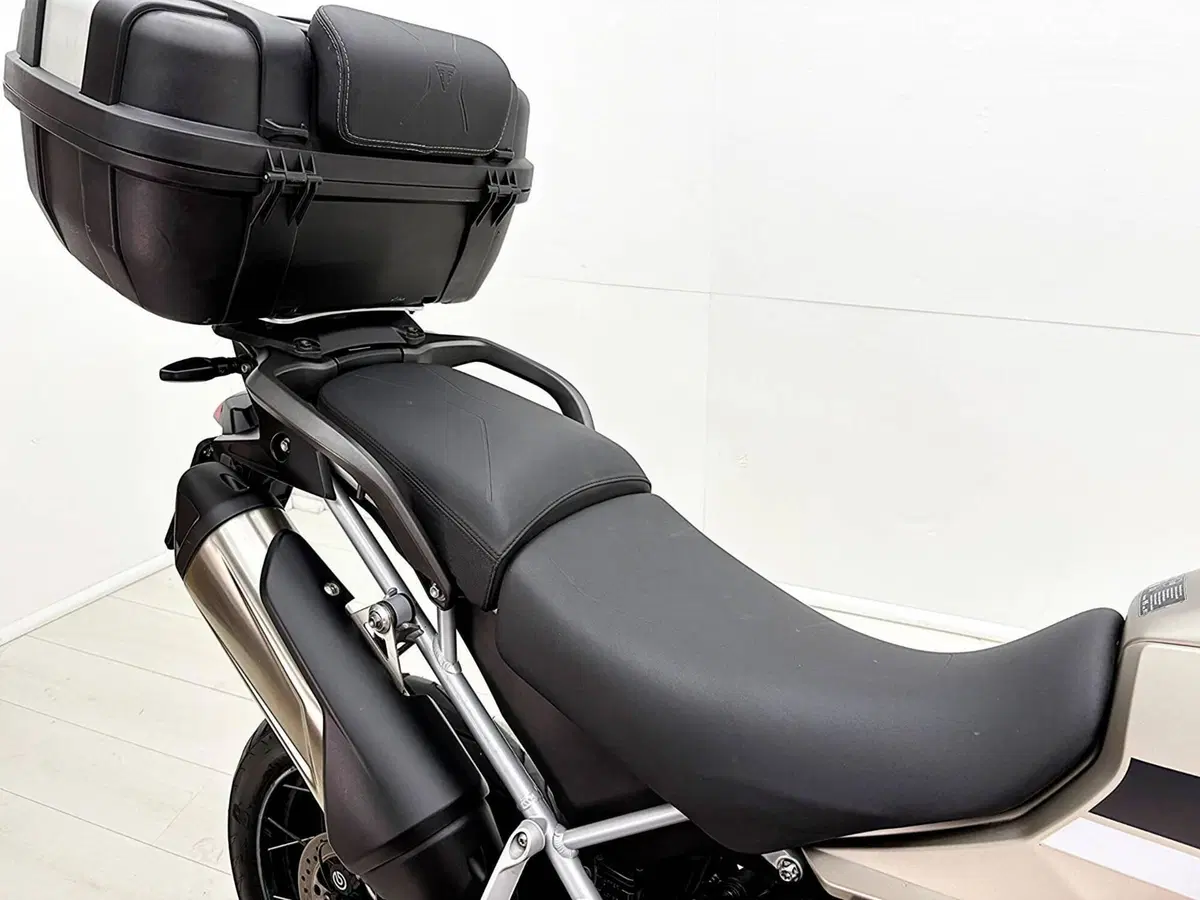 Triumph Tiger 900 Rally Pro (2020 - 23) (20)