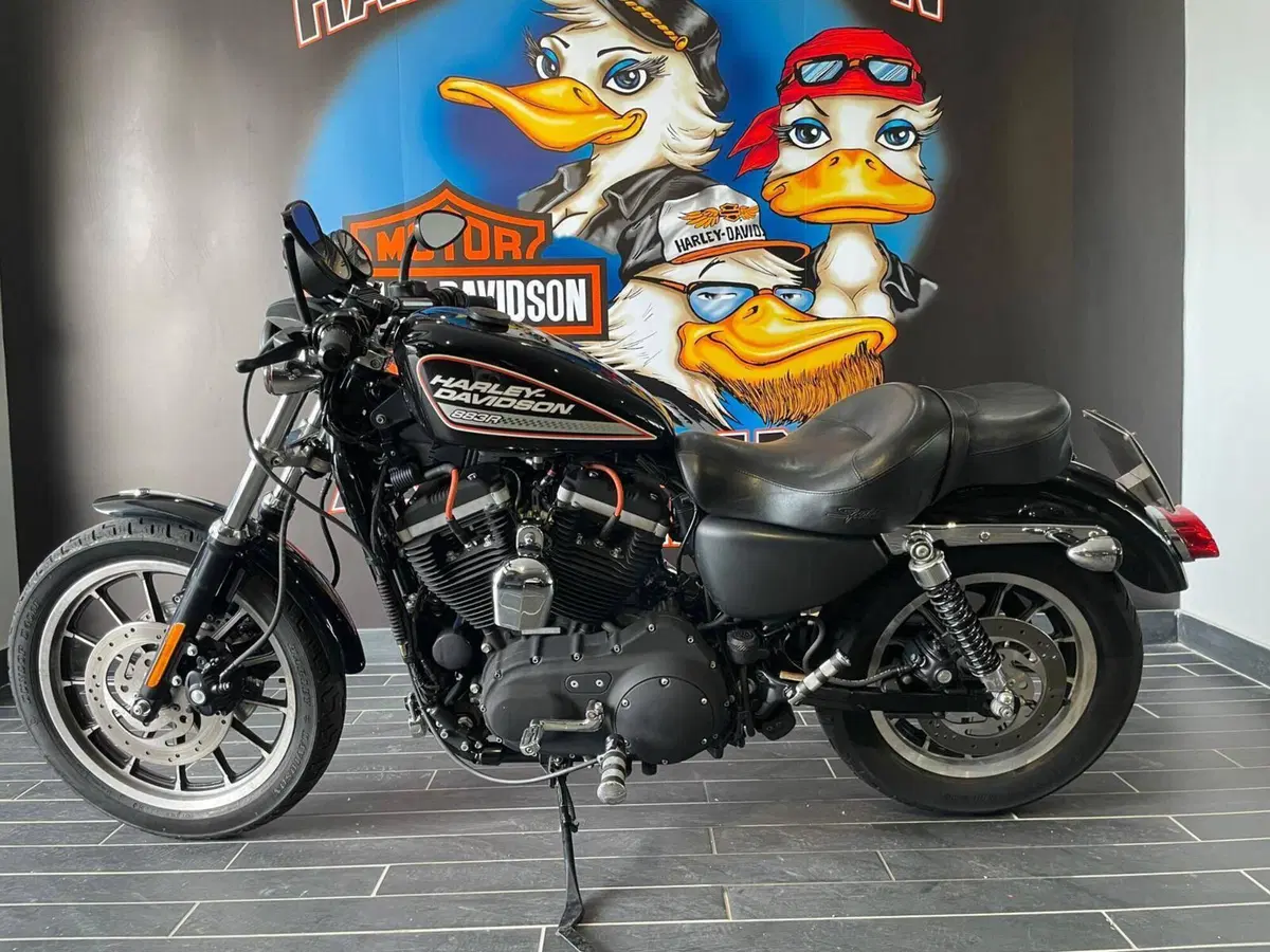 Harley-Davidson 883 R (2006 - 07) - XL 883R (2)