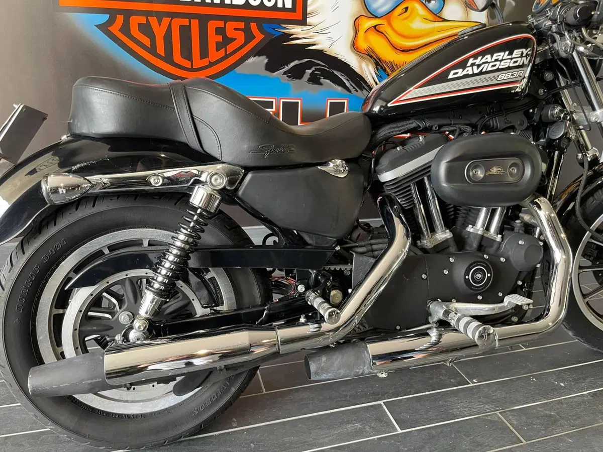 Harley-Davidson 883 R (2006 - 07) - XL 883R (3)