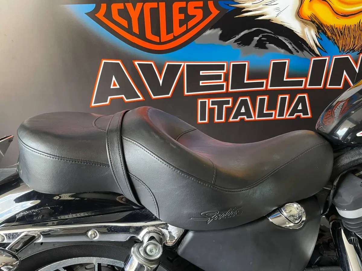 Harley-Davidson 883 R (2006 - 07) - XL 883R (4)