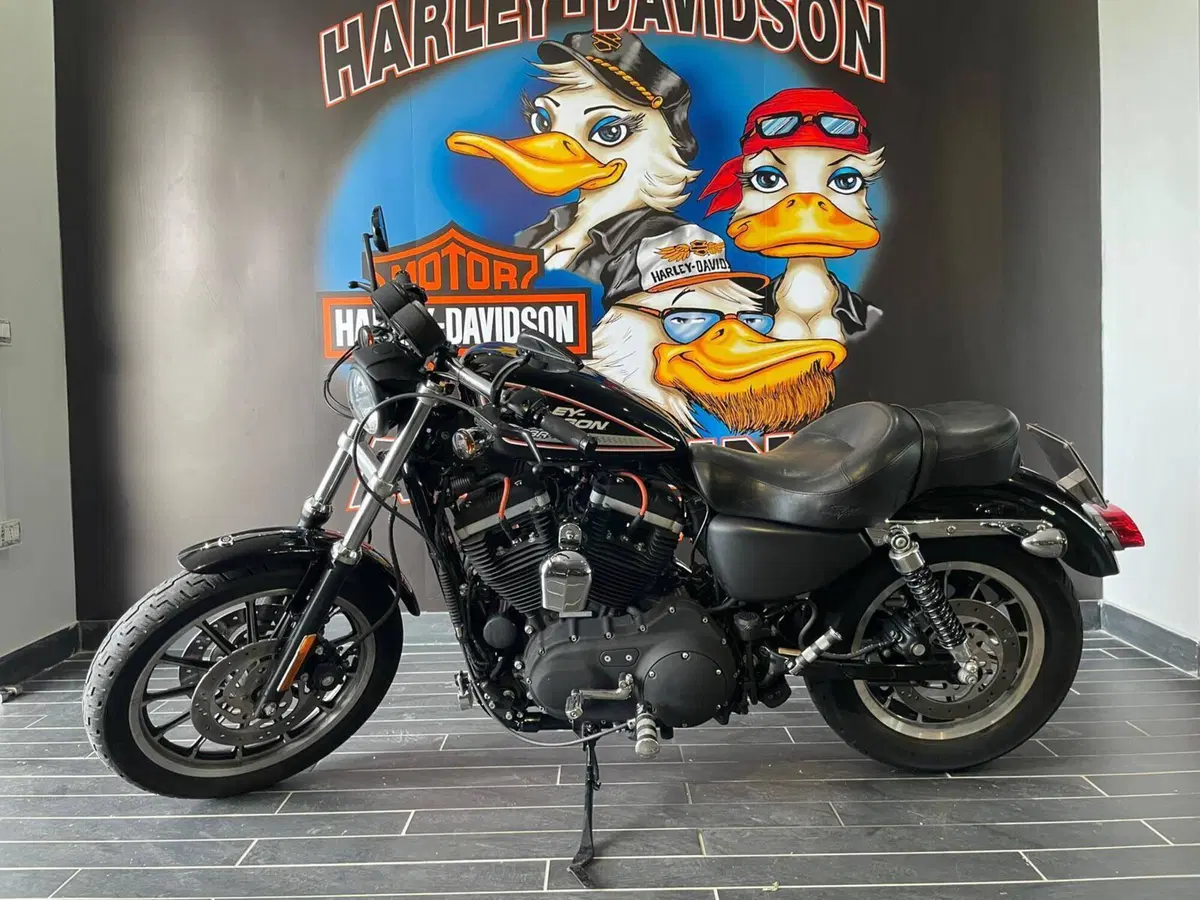 Harley-Davidson 883 R (2006 - 07) - XL 883R (5)